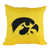Iowa Hawkeyes