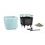 Quadro Premium Pot Planter-16493065-16493067