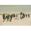 Course de raquettes à neige - Peinture-139284574-139284643-171553341