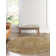 Ophelia Oriental Indoor Rug