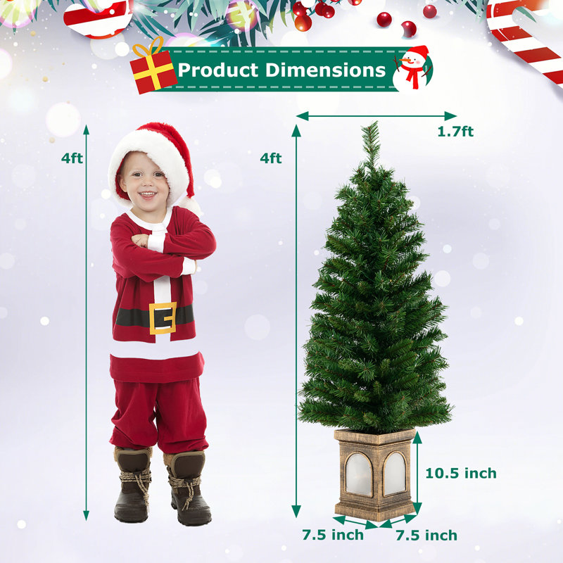 Lighted Christmas Tree