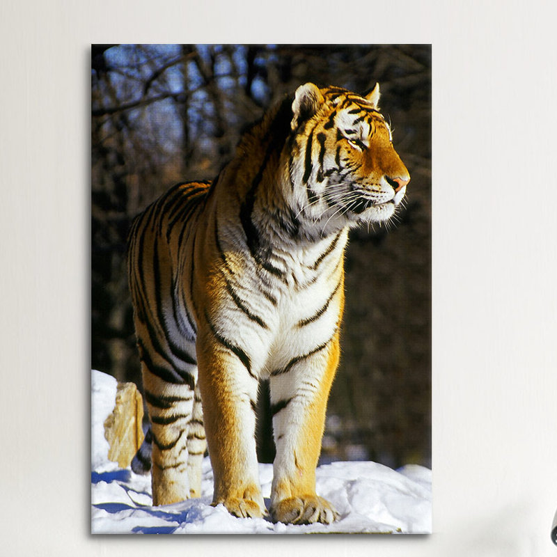 " Tiger ", 12" H x 8" W x 0.75" D