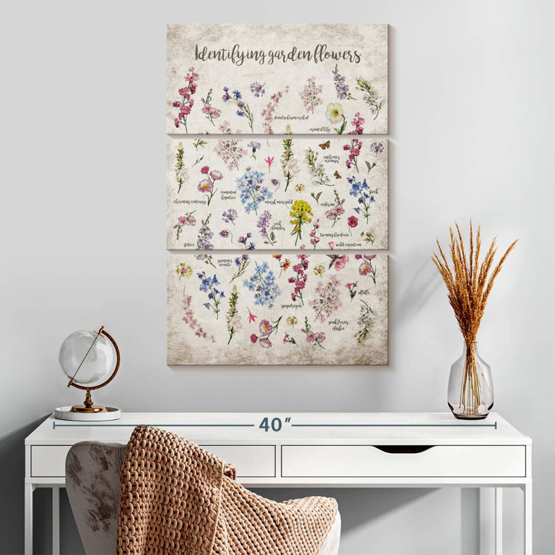 Tableau d'identification des fleurs Harnek, H 32 po x l 20 po