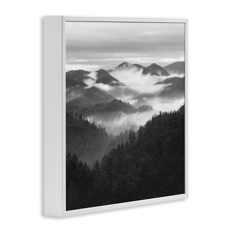 «Smoky Mountains Forest», estampe numérique, conception de Nicholas Bell, Encadrement giclée blanc côtier, H 12 po x l 12 po