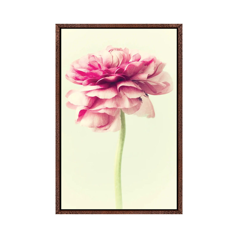 Lush Botanical I 1 Piece Floater Frame Wall Art on Canvas, 66.04 cm H x 45.72 cm W, Brown