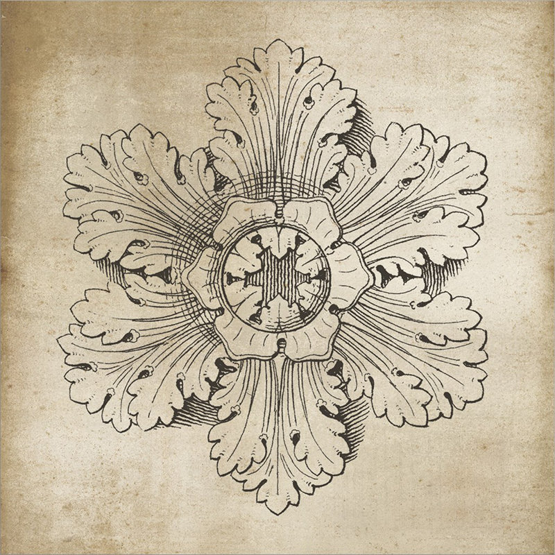 Rosette V par Wild Apple Portfolio - peinture sur toile tendue, H 12 po x l 12 po x P 1,5 po