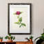 «Pretty Botanicals II», cadre photo-341834860-341834862