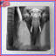 Couvre-lit matelassé Three African Elephants toutes tailles-129215291