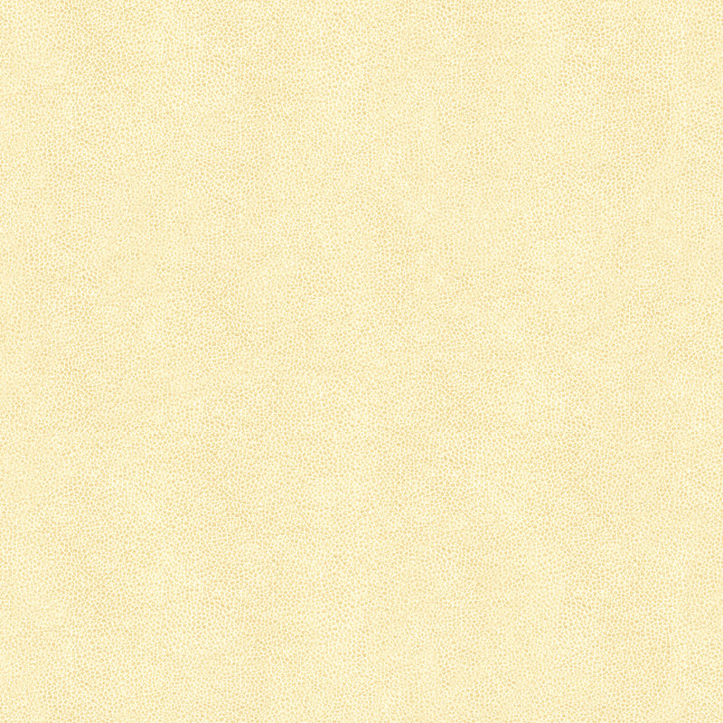 Abilene Fabric, Fossil