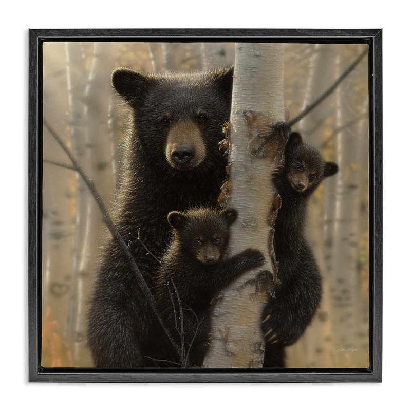 «Forest Forest and Cubs», art mural encadré flottant par Collin Bogle, Cadre flottant noir de jais, H 18 po x l 18 po