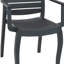 Fauteuils de salle à manger Dorthula-1595554080