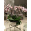 Vasos E Centros De Mesa Metal Planter-985381059