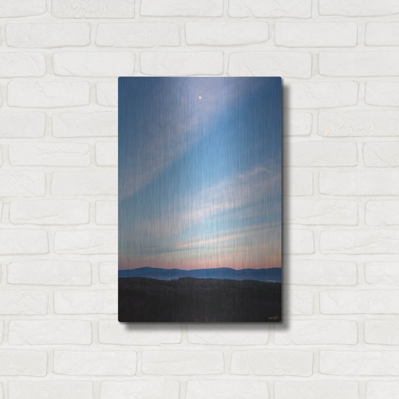 Art mural en métal luxueux «Evening Beauty» par Life BeautifuLEE, 16 po x 24 po