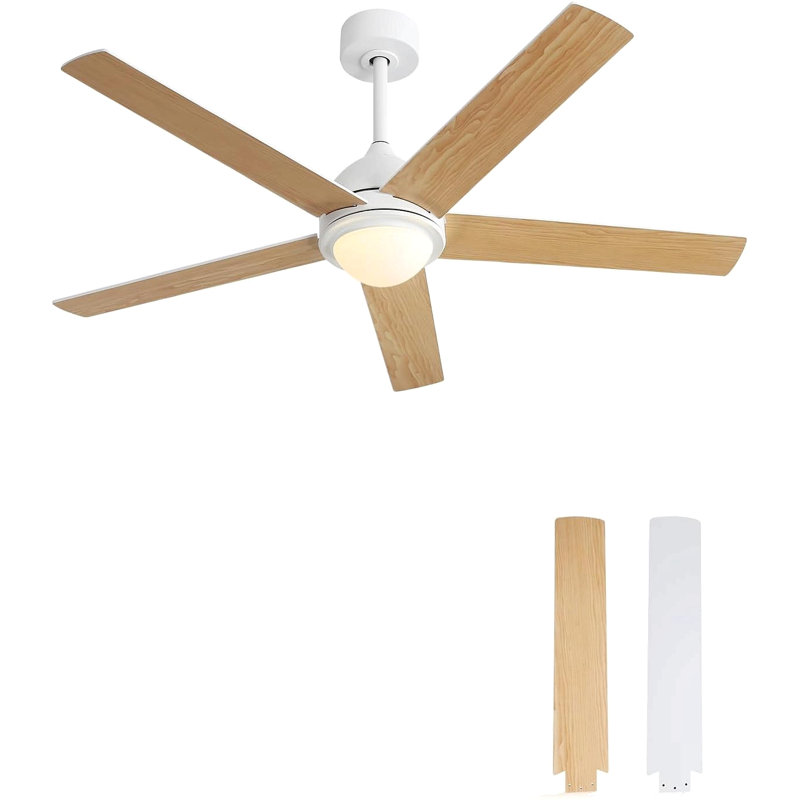 Ventilateur de plafond à DEL moderne de 52 pouces avec 3 couleurs à intensité variable, 5 pales en contreplaqué, télécommande, blanc réversible pour la chambre à coucher