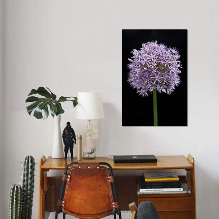 « allium floral », impression sur toile, H 26 po x l 18 po x P 1,5 po, Toile tendue, Pas de tapis