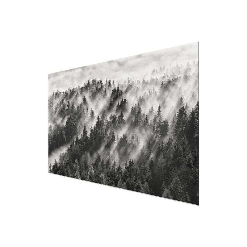Light Rays In Coniferous Forest - No Frame Print on Glass, 20 cm H x 31 cm W x 0.5cm D, Paper