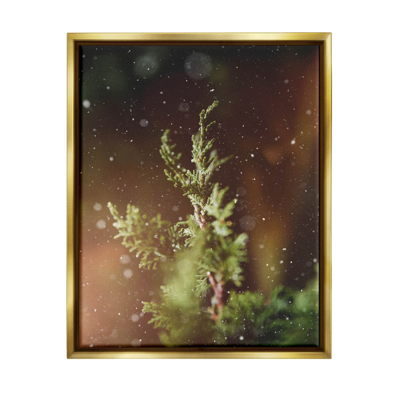 Winter Snowfall Night Pine Tree - Photographie à cadre flottant sur toile, H 31 po x l 25 po x P 1,7 po