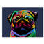Carlin dog, impression sur toile tendue-18235393