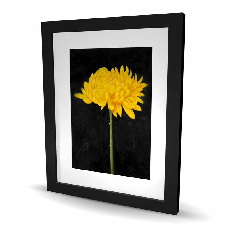 Chrysanthemum - Rustic Framed Matted Print for Home Decor