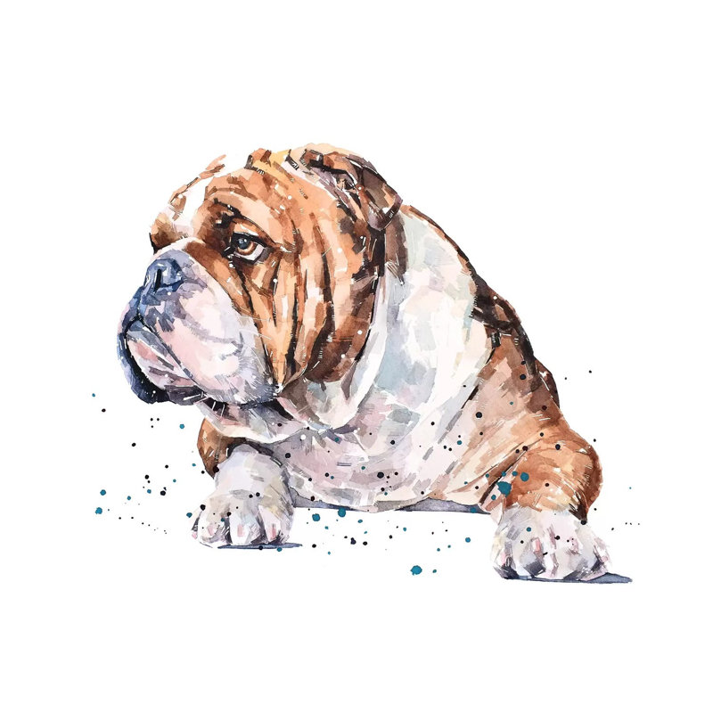 "English Bull Dog I" par Edwatercolours-impression, Pas de tapis, Toile tendue, H 12 po x l 12 po x P 0,75 po
