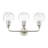 Rosena 3 - Light Dimmable Vanity Light-1575657820