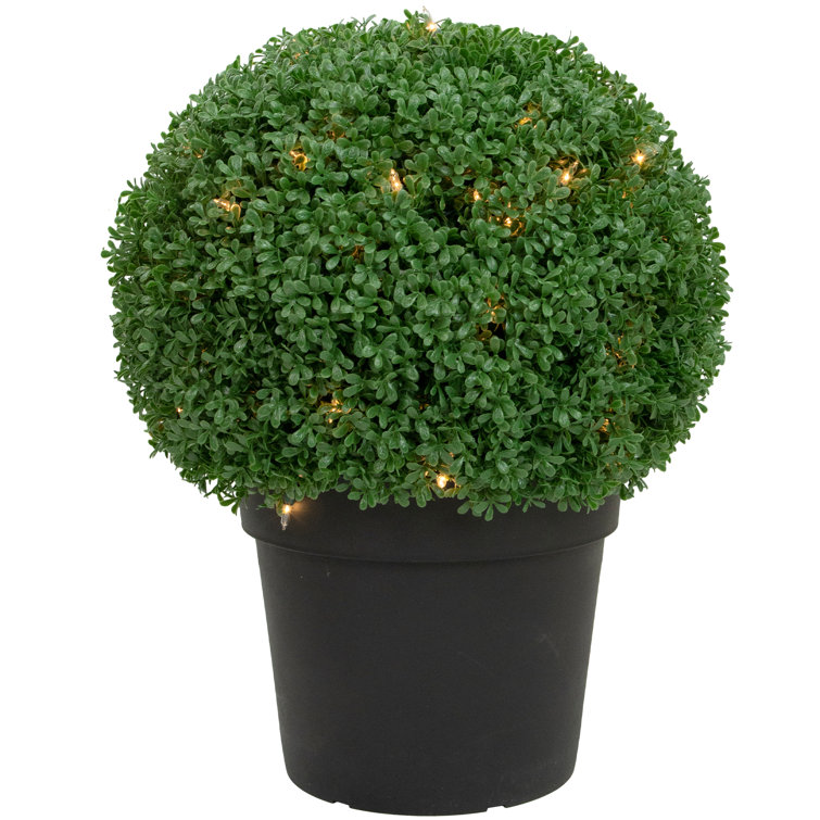 https://assets.wfcdn.com/im/39589619/resize-h755-w755%5Ecompr-r85/2122/212220771/20%22+Pre-Lit+Artificial+Boxwood+Ball+Topiary+in+Round+Pot+Clear+Lights.jpg