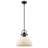 Bales 1-Light Dimmable Dome Pendant-91584196-91584193