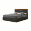 Kayner Bed With LED Lights - Charcoal-1825667712