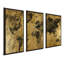 "Golden Atlas" par CAD Designs, reproduction sur toile flottante 3 pièces-62940727