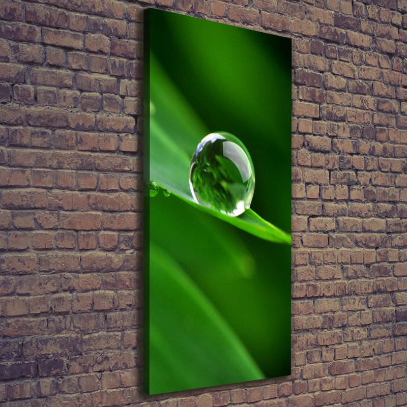 A Blade Of Grass - Wrapped Canvas Print