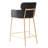 Tighe Upholstered Counter Stool with Solid Wood Frame-209448316-188986762
