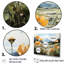 «Buttercups Charm In Mountain Scenery» sur impression sur toile-867724666-867724671