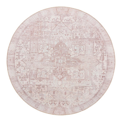 Amilio Performance Chenille Oriental Indoor Rug