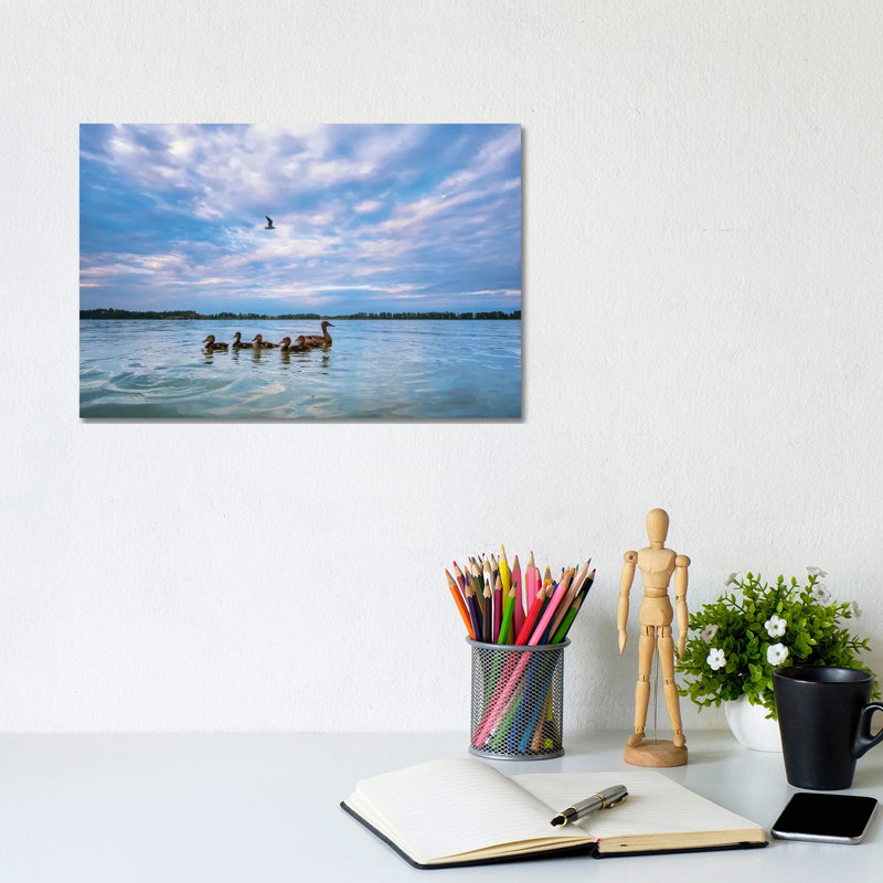 Mallard Ducks by Mateusz Piesiak - Wrapped Canvas Gallery-Wrapped Canvas Giclée, 20.32 cm H x 30.48 cm W