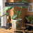 Navua Ceramic Cachepot-509138420