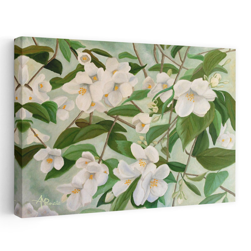 Jasmine blanche, fleurs, art abstrait contemporain rustique, plante florale, H 16 po x l 24 po