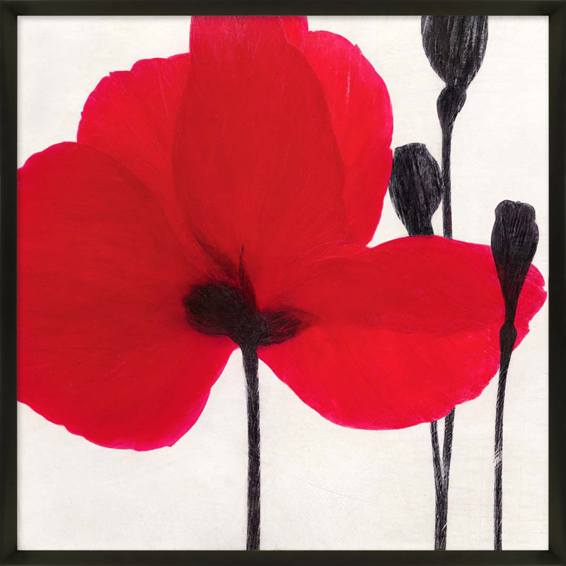 Red Poppies " Red Poppy 1 " by Ivo Stoyanov, Black, 30" H x 30" W x 1.25" D