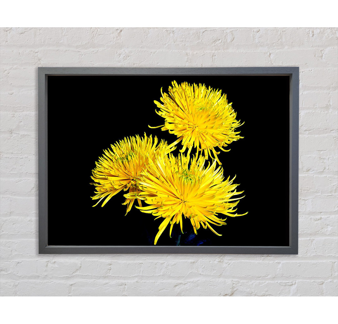 Dandelion Delight - Druck