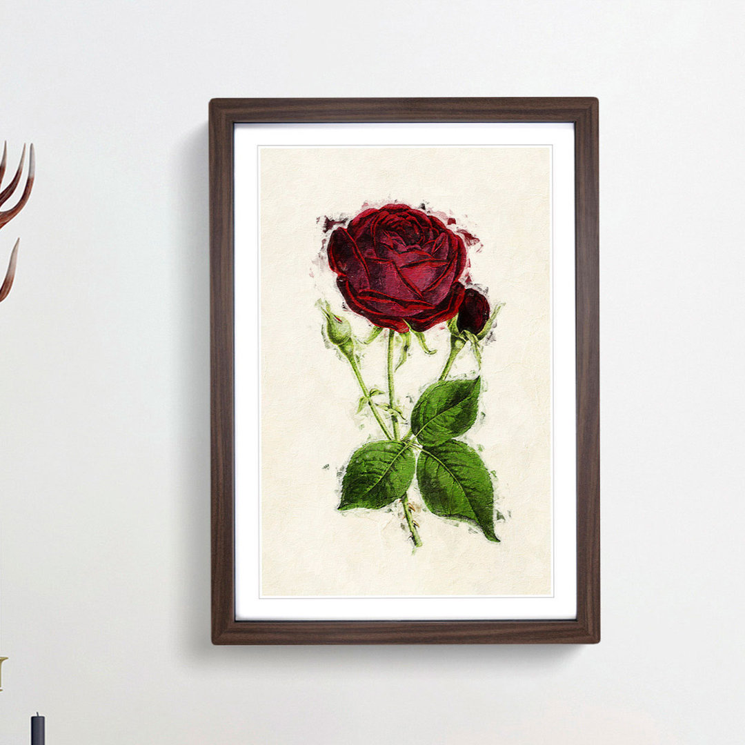 Illustration of a Red Prince Noir Rose - Picture Frame Painting Print