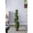 35'' Boxwood Topiary in Faux Concrete Planter