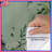 Greenery Bedding Floral Duvet Cover Minimalist-123092586
