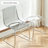 Clear+Silver Solid back side Chair(Set of 2)
