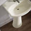 Cimarron® Vitreous China 23" Pedestal Bathroom Sink with Overflow-10940907-19195632