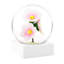 Blossom To Go - Set Of 12