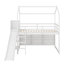 Lit mezzanine simple avec tablettes et lumière-120034833