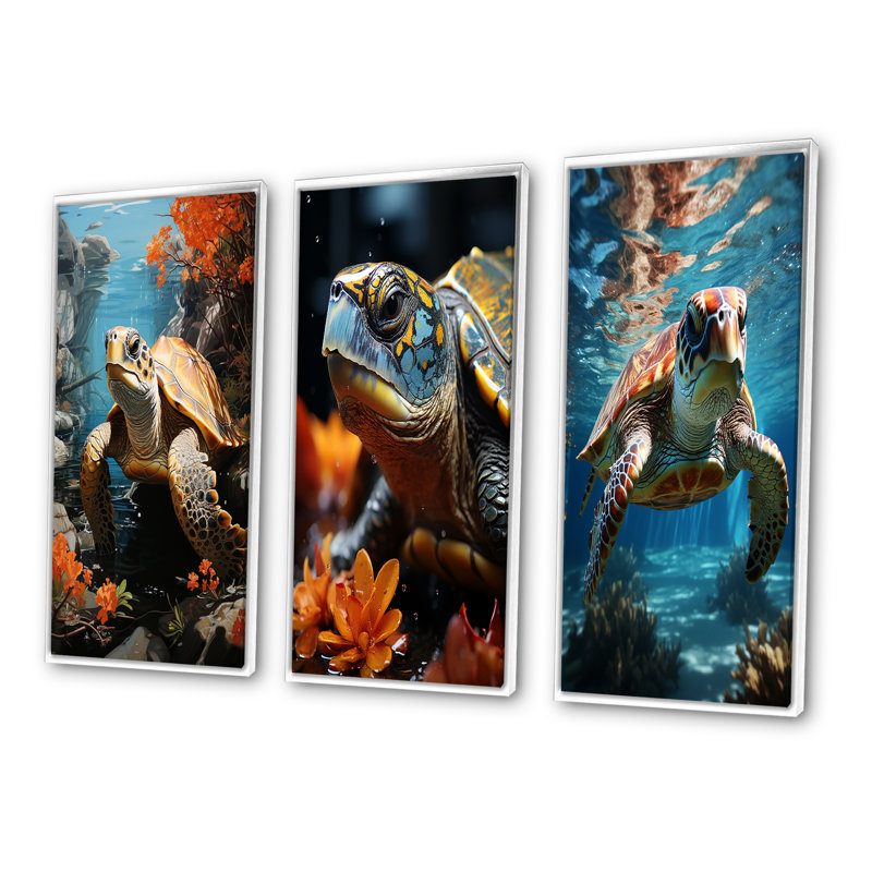 «Turtle Aquatic Wanderer Pastoral», 3 pièces sur toile, Cadre blanc, H 20 po x l 36 po