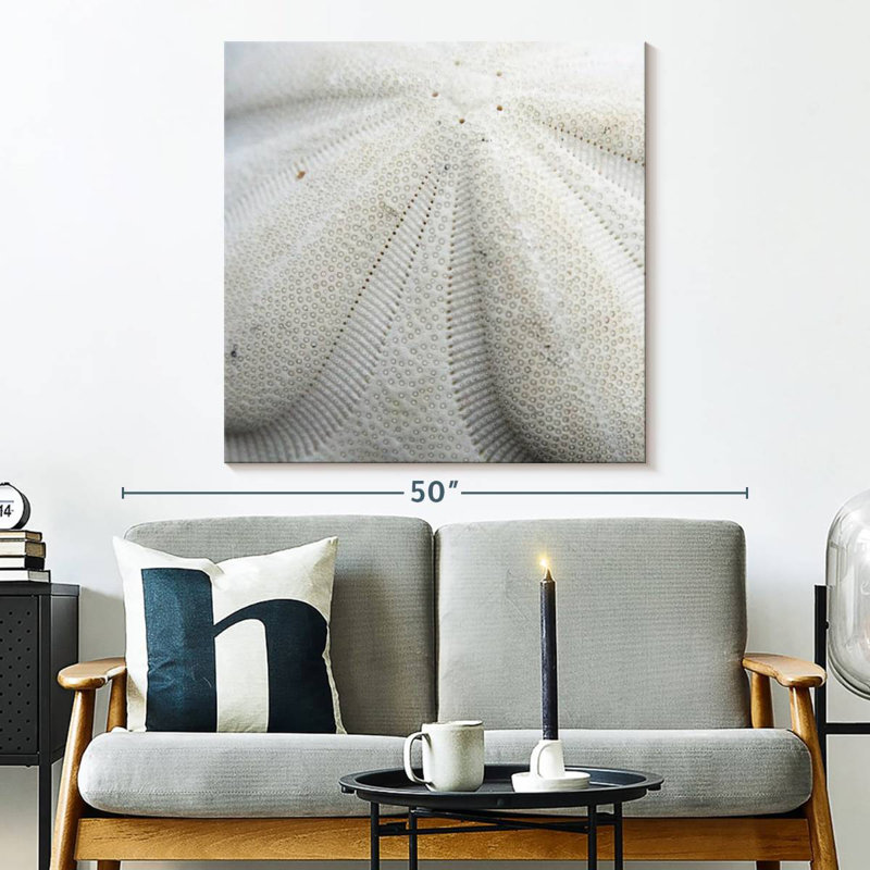 Brampt Textured Sand Dollar