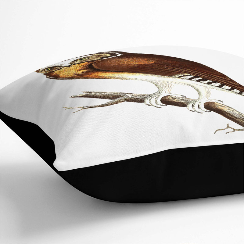 Fronted Owl by George Shaw Cushion with Filling, 55cm H x 55cm W x 20cm D, Black