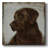 " Lab "-20239434
