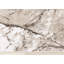 Tapis taupe blanc Alteburg-1168176584